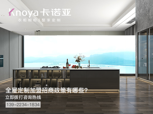 惠州全屋定制加盟哪个品牌好 惠州全屋定制加盟哪个品牌好
